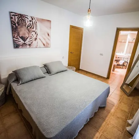 Kelu فيلة كاليتا ذي فوستي